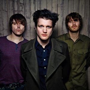 Image for 'The Virginmarys'