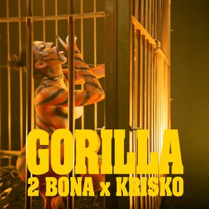 Image for 'Gorilla'