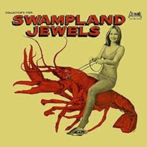 Image for 'Swampland Jewels'
