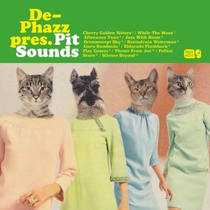 “Pit Sounds”的封面