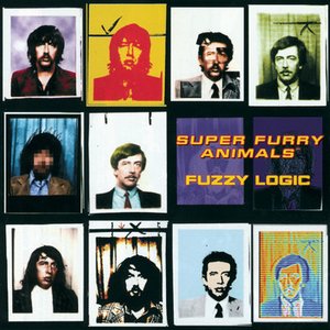 Изображение для 'Fuzzy Logic (20th Anniversary Deluxe Edition)'