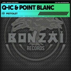 Image for 'Q-IC & Point Blanc'