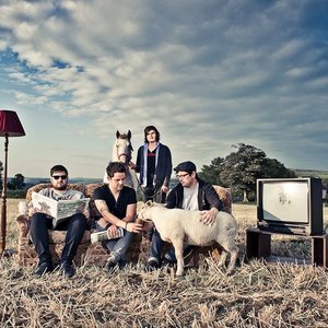 Image for 'Straight Lines'