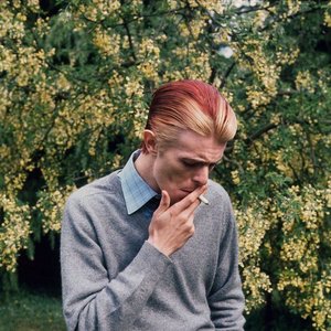 Immagine per 'David Bowie'