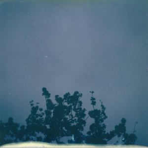 Image for '花落知多少'