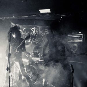 “New Skeletal Faces”的封面