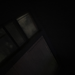 Hvsh_