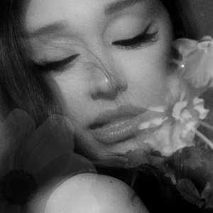 Image for 'petal'
