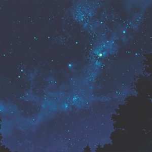 “star shopping”的封面