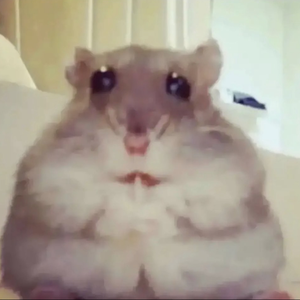 rincheese