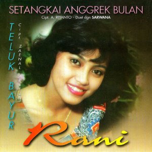 Image for 'Setangkai Anggrek Bulan'