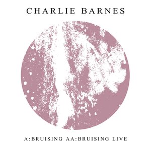 Image for 'Bruising'
