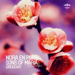 Image for 'Nora En Pure & Sons Of Maria'