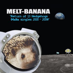 Изображение для 'Return of 13 Hedgehogs: MXBX Singles 2000-2009'