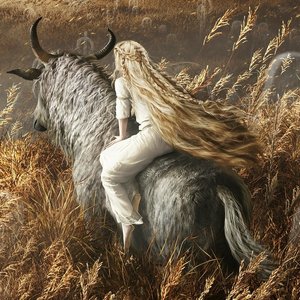 “ELDEN RING SHADOW OF THE ERDTREE ORIGINAL SOUND TRACK”的封面