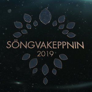 Image for 'Söngvakeppnin 2019'