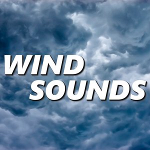 Bild för 'Wind Sounds'