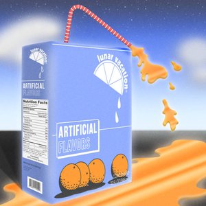 Image pour 'Artificial Flavors'