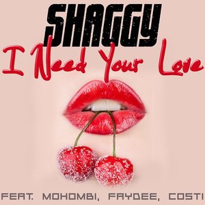 Immagine per 'I Need Your Love (feat. Mohombi, Faydee & Costi)'