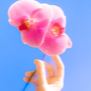 Image for 'i couldn't hold back'