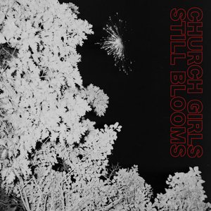 Zdjęcia dla 'Still Blooms'