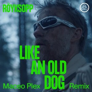 “Like An Old Dog (feat. Pixx) [Maceo Plex Remix] - Single”的封面