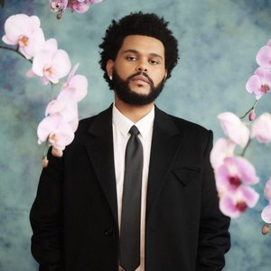 Bild für 'The Weeknd'