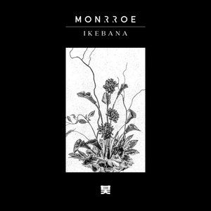 Immagine per 'Ikebana - EP'