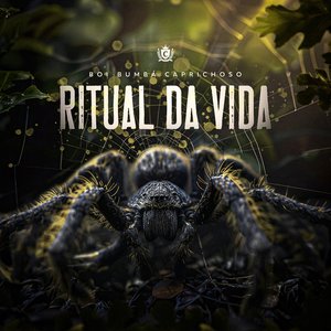 Image pour 'Ritual da Vida (2024)'