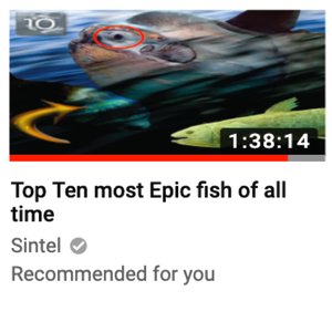 Bild för 'Top Ten most Epic fish of all time'