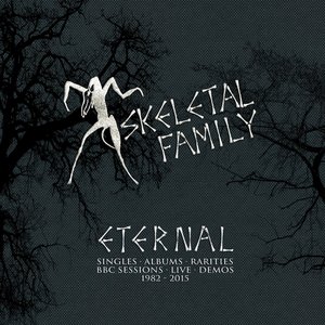 Изображение для 'Eternal: Singles, Albums, Rarities, BBC Sessions, Live, Demos 1982-2015'