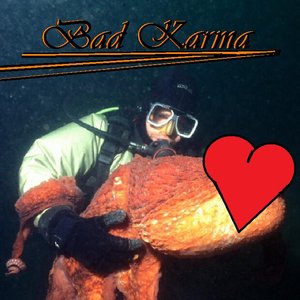 “BadKarma”的封面