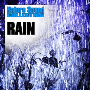 Image for 'Rain (Nature Sounds)'