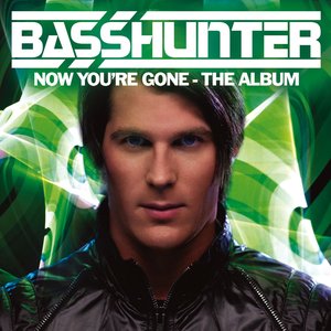 Immagine per 'Now You're Gone - The Album'