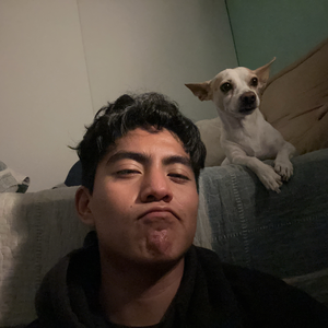 Oliverbttm