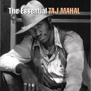 Image for 'The Essential Taj Mahal'