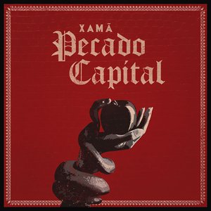 Image for 'Pecado Capital'