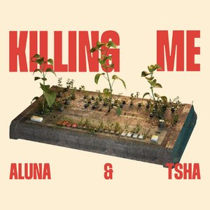 Image for 'Killing Me'