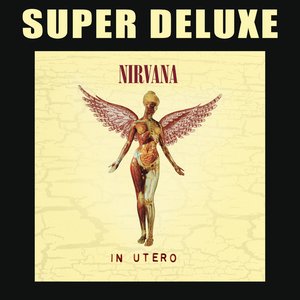 “In Utero - 20th Anniversary Super Deluxe”的封面