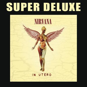 Bild för 'In Utero - 20th Anniversary Super Deluxe'