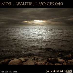 “BEAUTIFUL VOICES 040 (VOCAL CHILL MIX)”的封面