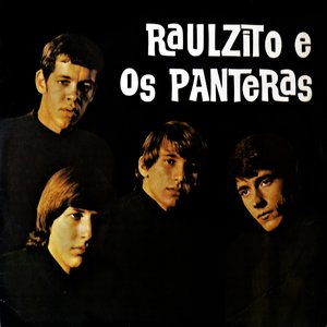 Image for 'Raulzito E Os Panteras'