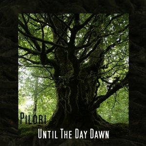 Image pour 'Until The Day Dawn'