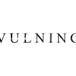 Image for 'Vulning'