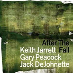 Image for 'After The Fall (Live)'