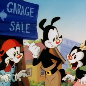Image for 'Animaniacs'