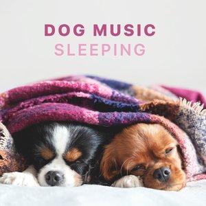Bild för 'Dog Music - Sleeping Songs for Dogs and Puppies'
