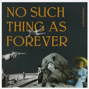 Image for 'No Such Thing as Forever'