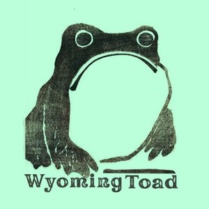 Bild für 'Wyoming Toad'