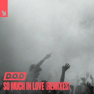 'So Much In Love (Remixes)'の画像